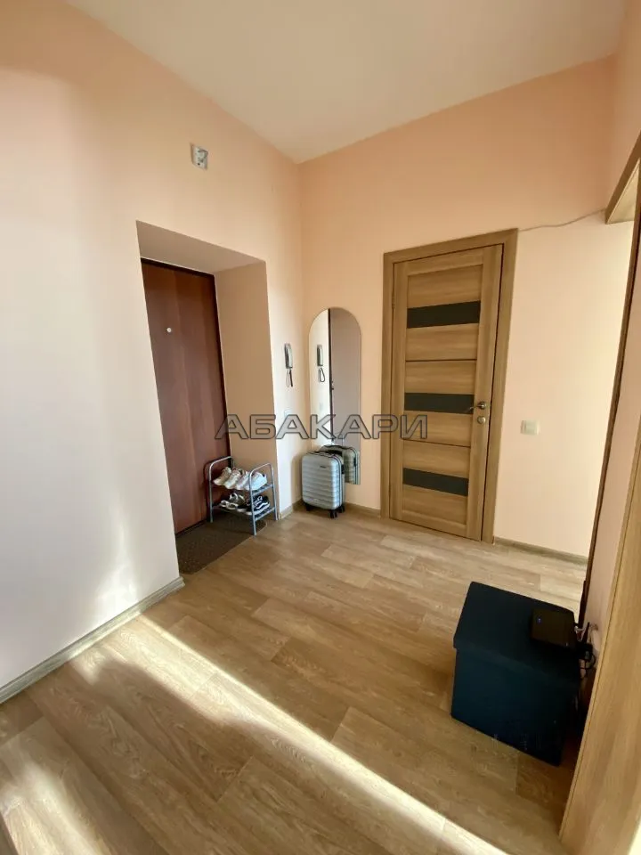 1-комнатная улица Мичурина, 2Д  за 40000 руб/мес фото 7