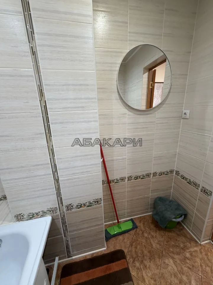 1-комнатная Светлогорская улица, 11А  за 35000 руб/мес фото 9