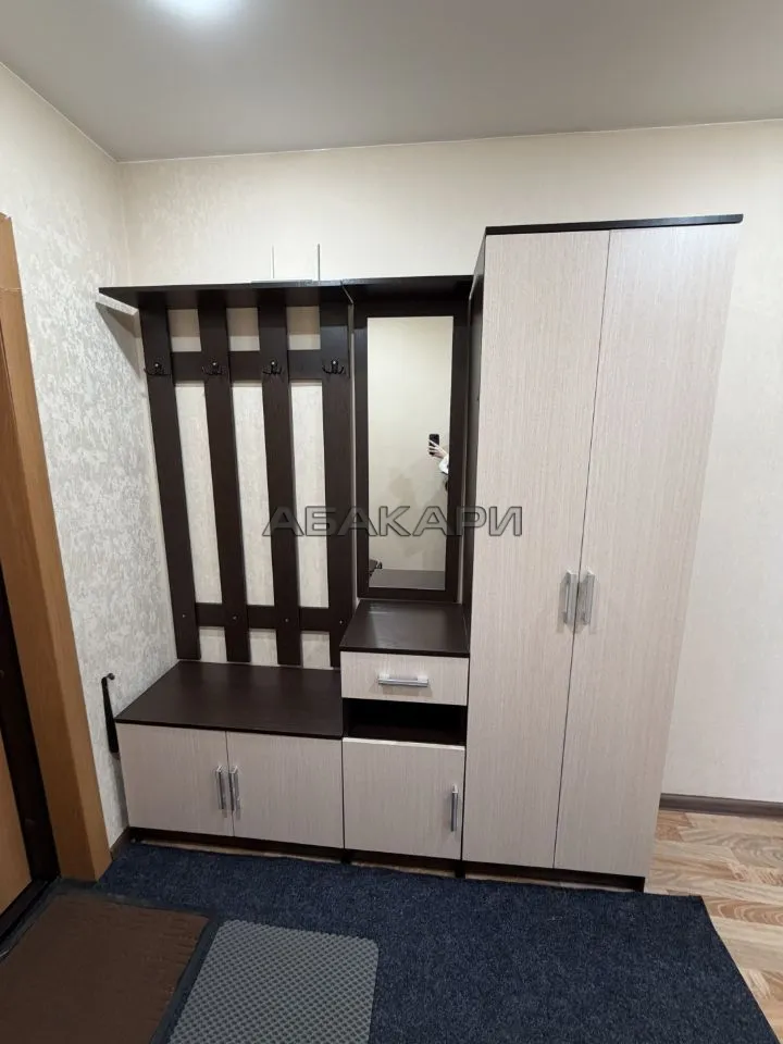 1-комнатная Светлогорская улица, 11А  за 35000 руб/мес фото 17