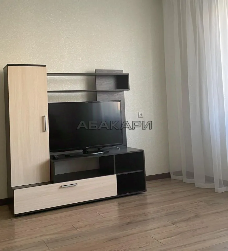 1-комнатная Светлогорский переулок, 2  за 28000 руб/мес фото 4