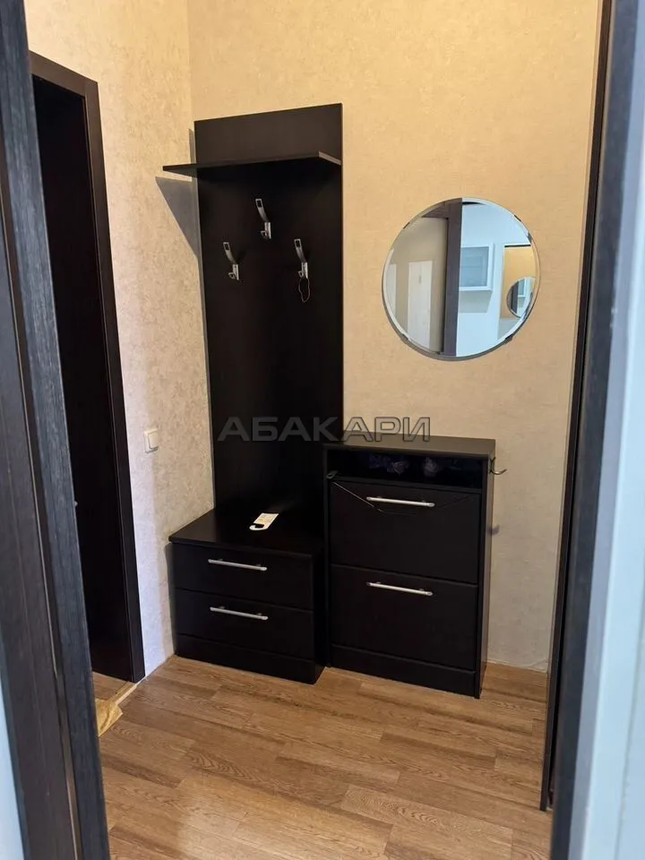 1-комнатная улица Толстого, 17  за 35000 руб/мес фото 11