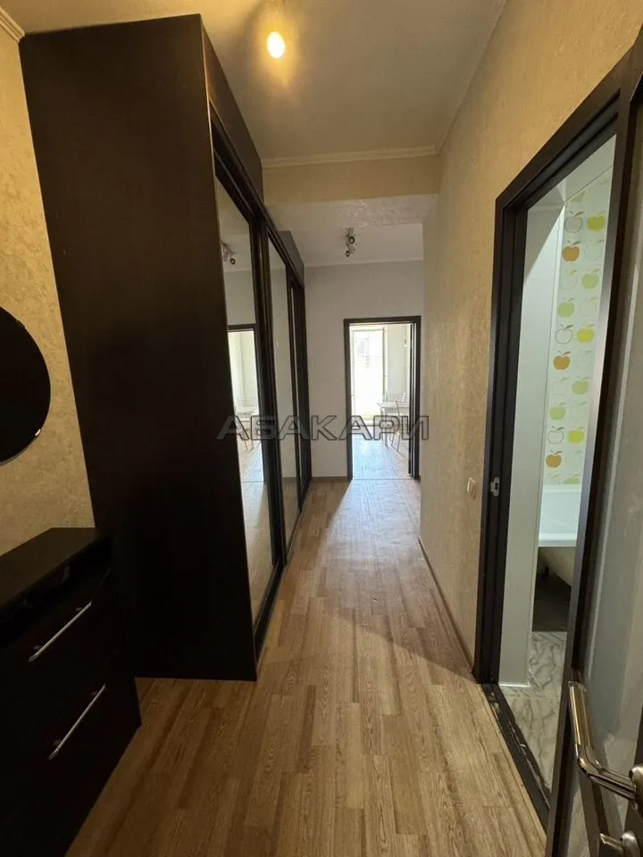 1-комнатная улица Толстого, 17  за 35000 руб/мес фото 14