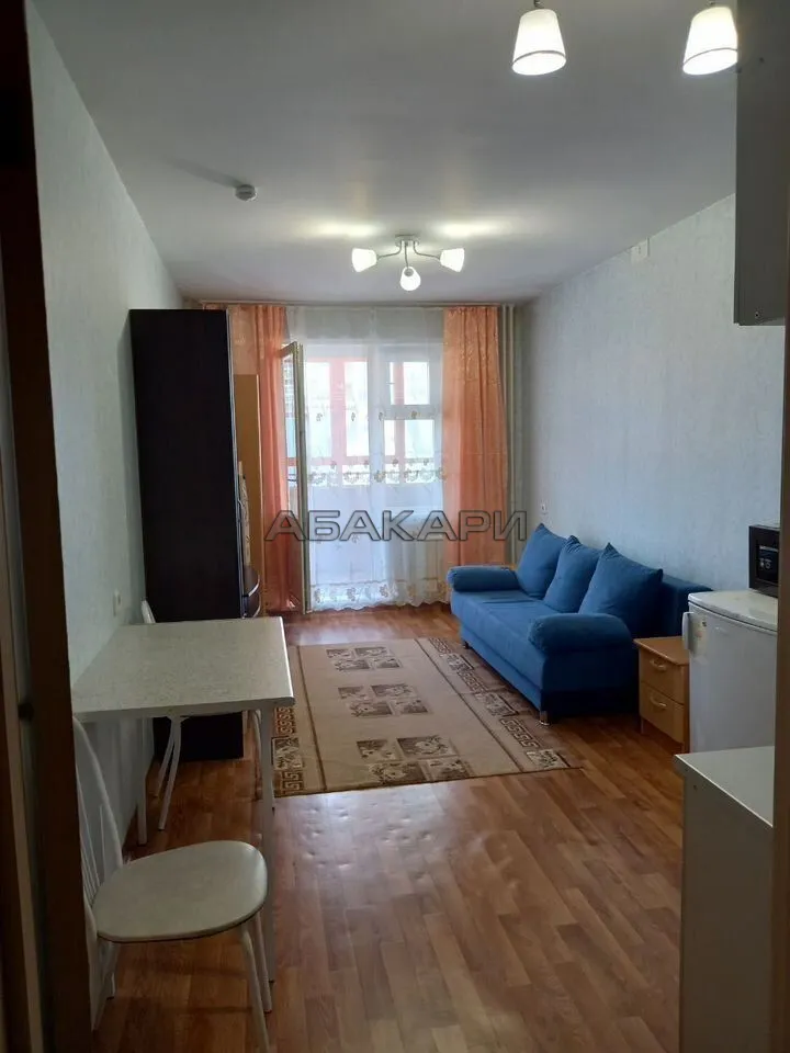 студия улица Вильского, 28  за 23000 руб/мес фото 1