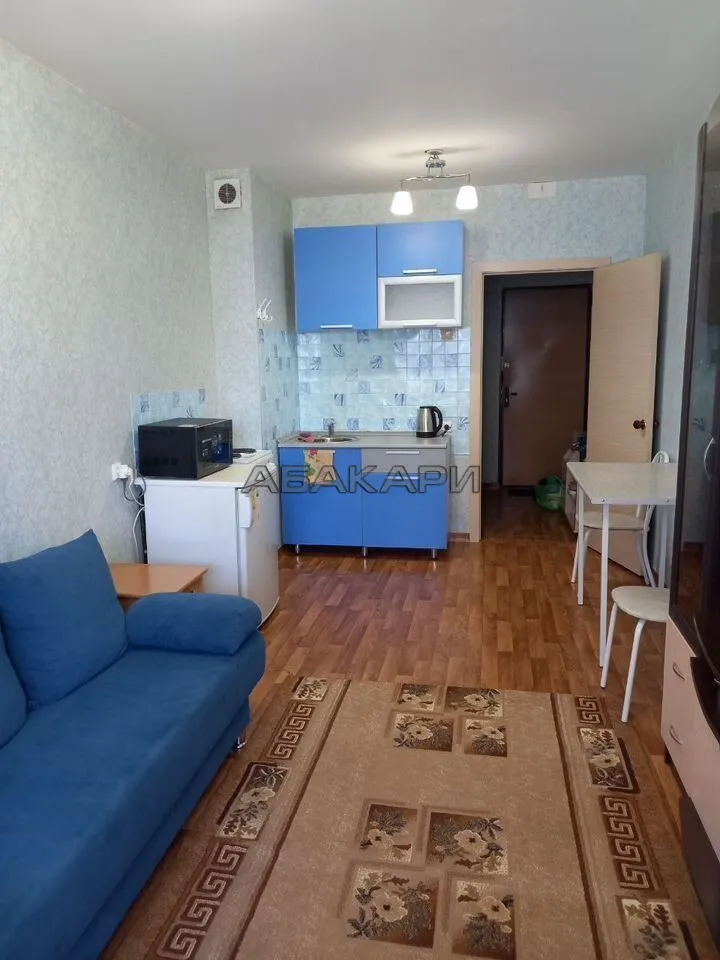 студия улица Вильского, 28  за 23000 руб/мес фото 3