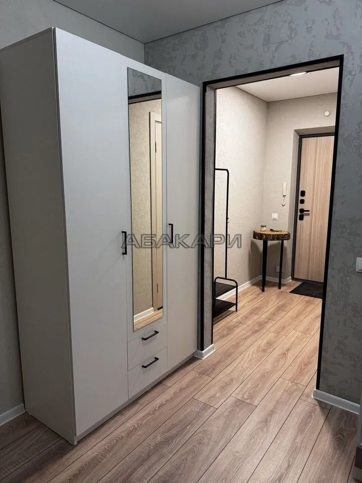 студия Соколовская улица, 64  за 27000 руб/мес фото 6