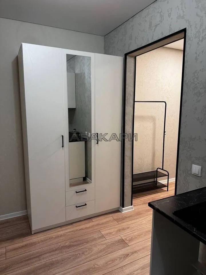 студия Соколовская улица, 64  за 27000 руб/мес фото 9
