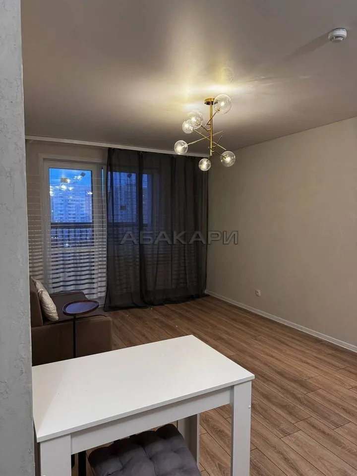 студия Соколовская улица, 64  за 27000 руб/мес фото 5