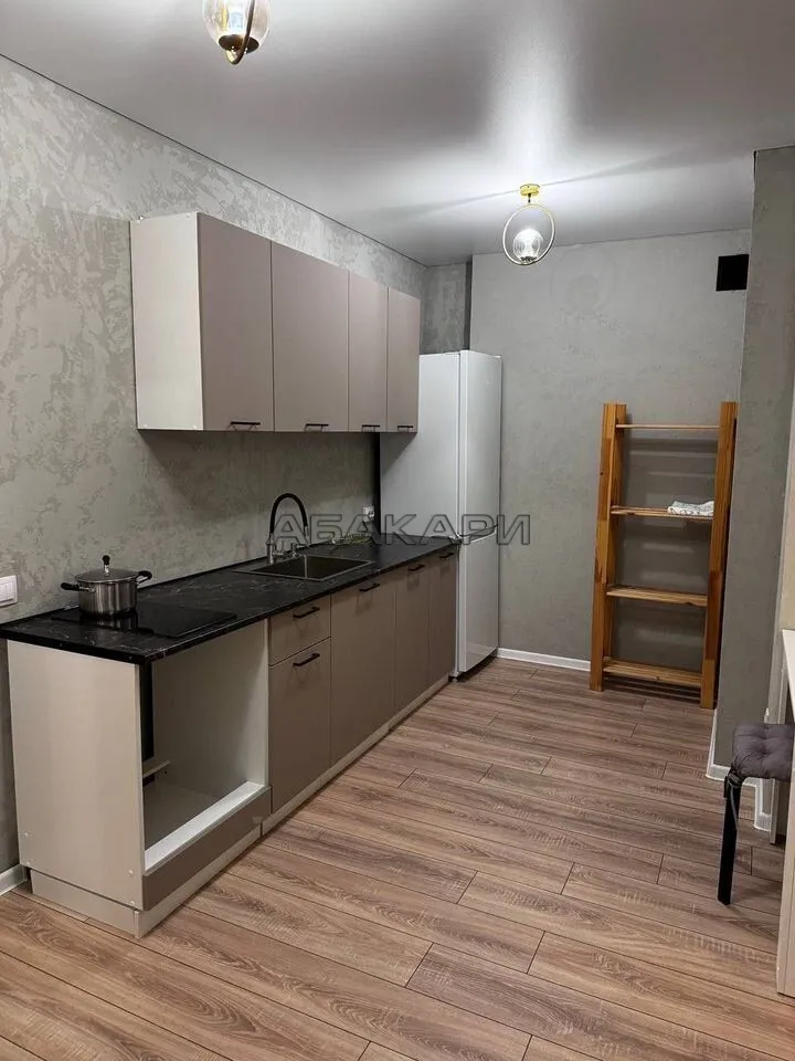 студия Соколовская улица, 64  за 27000 руб/мес фото 2