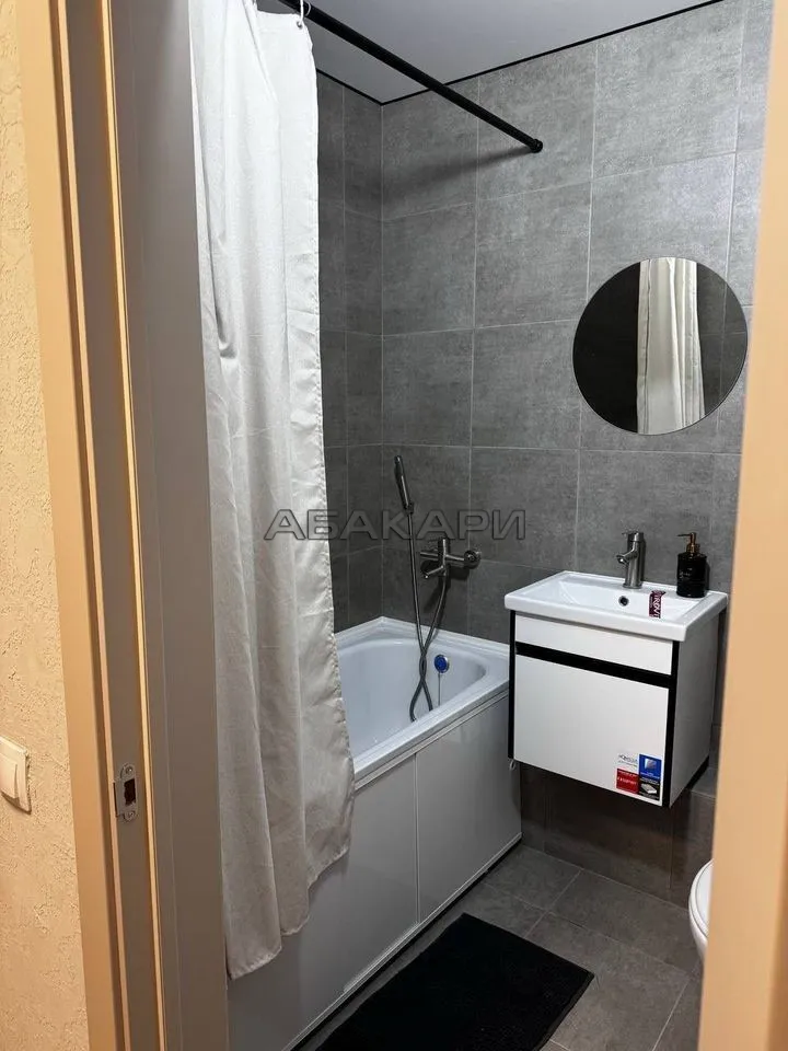 студия Соколовская улица, 64  за 27000 руб/мес фото 13