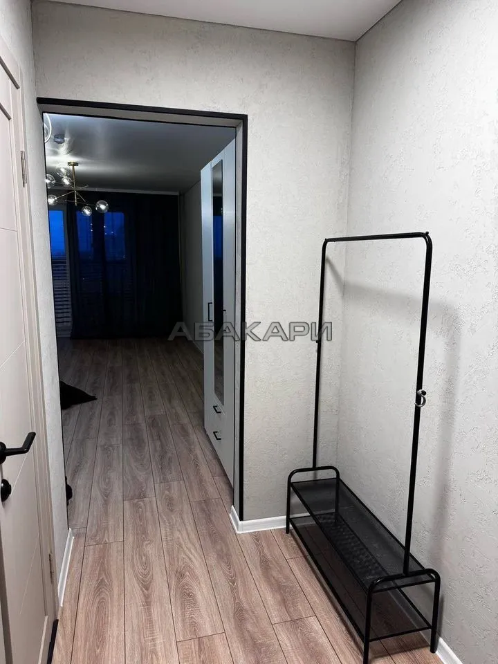 студия Соколовская улица, 64  за 27000 руб/мес фото 11
