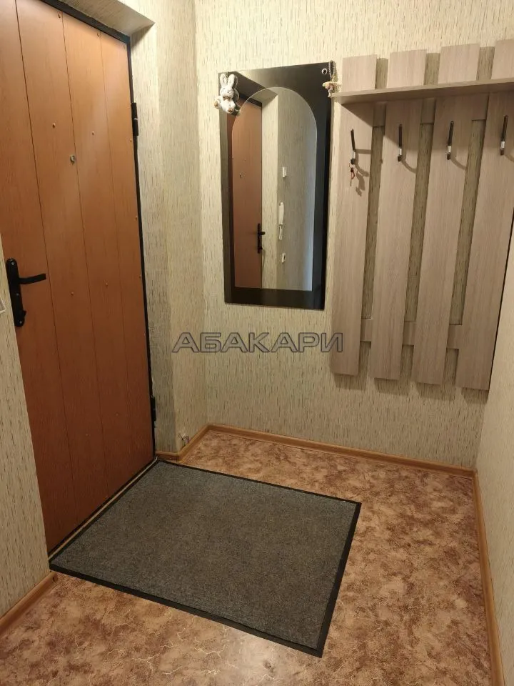1-комнатная Караульная улица, 44  за 30000 руб/мес фото 9