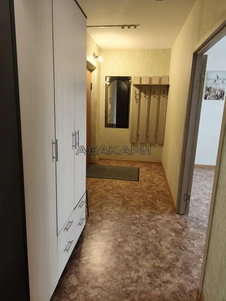1-комнатная Караульная улица, 44  за 30000 руб/мес фото 10