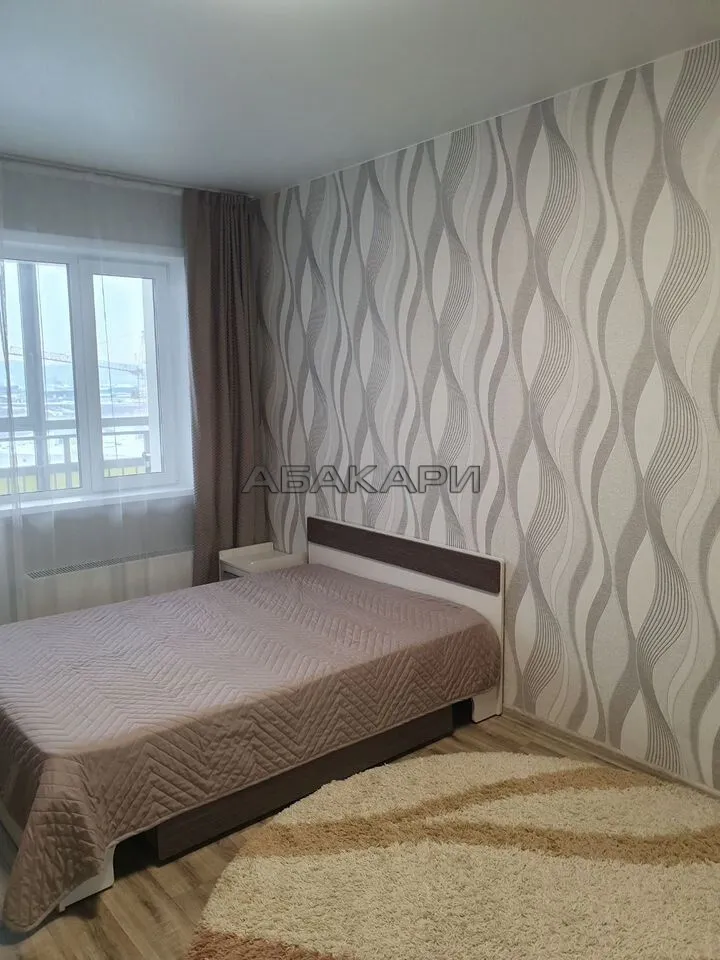 1-комнатная улица Петра Подзолкова, 3И  за 35000 руб/мес фото 1