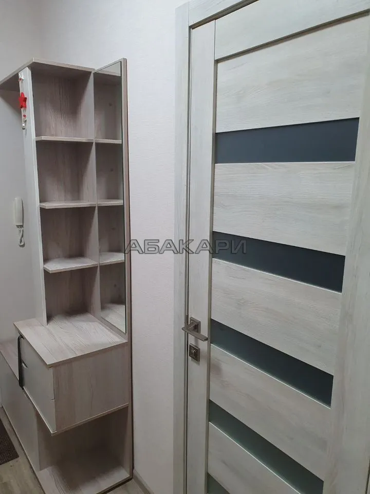1-комнатная улица Петра Подзолкова, 3И  за 35000 руб/мес фото 11