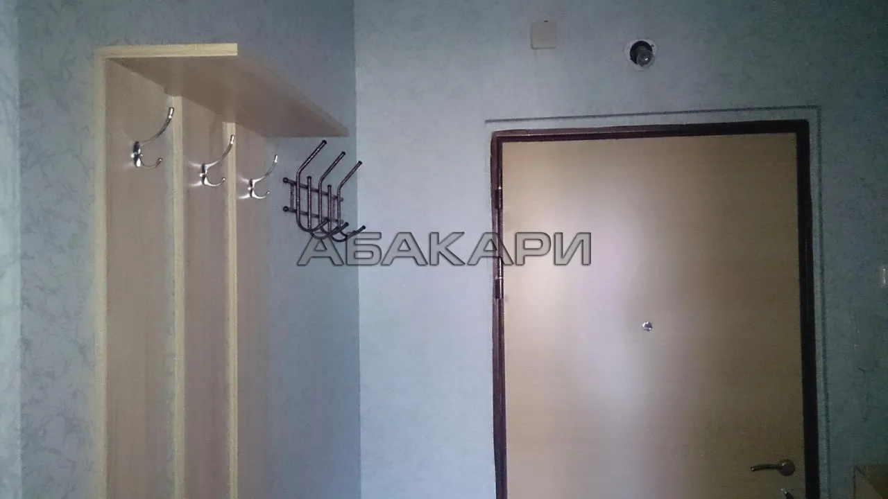 1-комнатная Лесопарковая улица, 11  за 28000 руб/мес фото 7