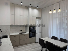 аренда Петра Подзолкова, 12 1-комнатная 55000