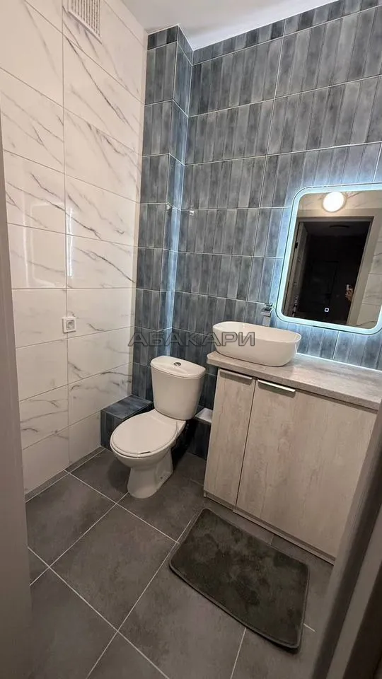 2-комнатная Регатная улица, 3  за 59000 руб/мес фото 11