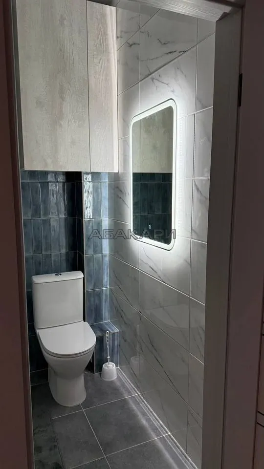 2-комнатная Регатная улица, 3  за 59000 руб/мес фото 13