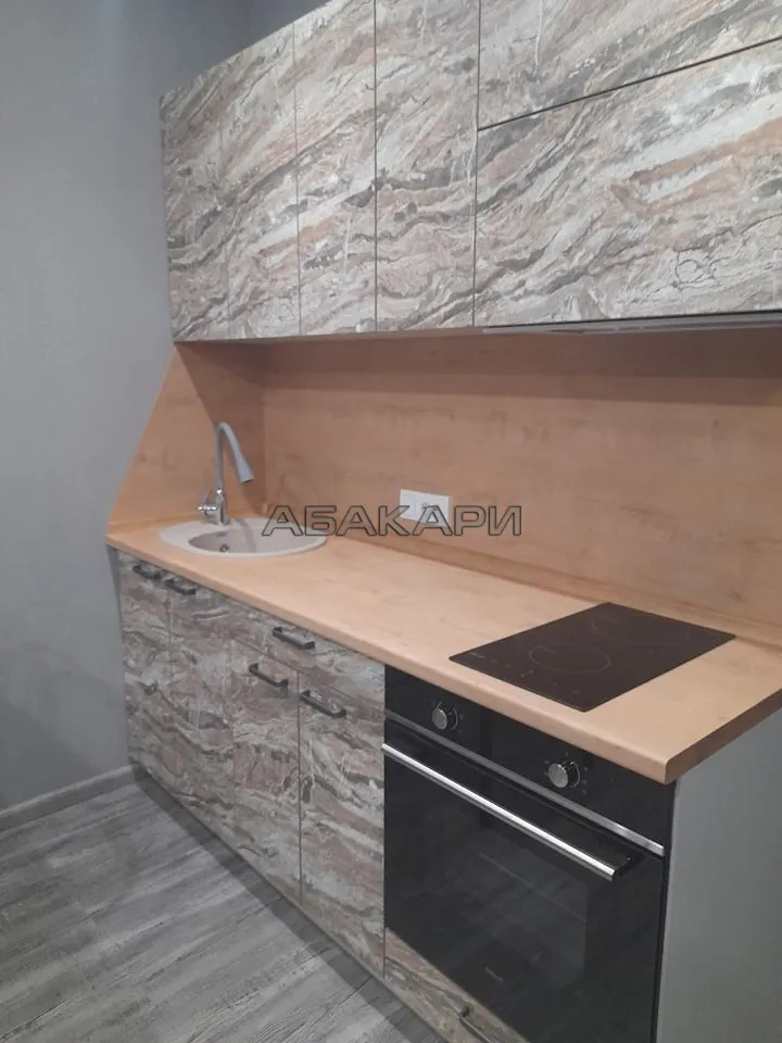 студия Дудинская улица, 2Д  за 35000 руб/мес фото 6