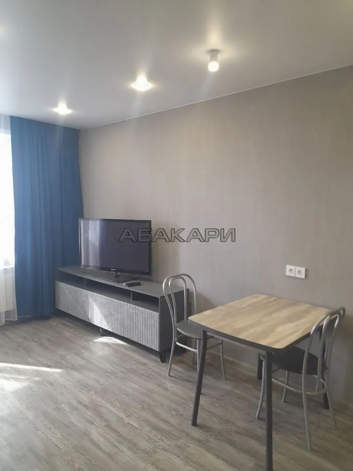 студия Дудинская улица, 2Д  за 35000 руб/мес фото 9