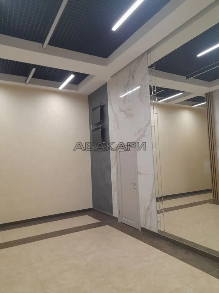 студия Дудинская улица, 2Д  за 35000 руб/мес фото 12