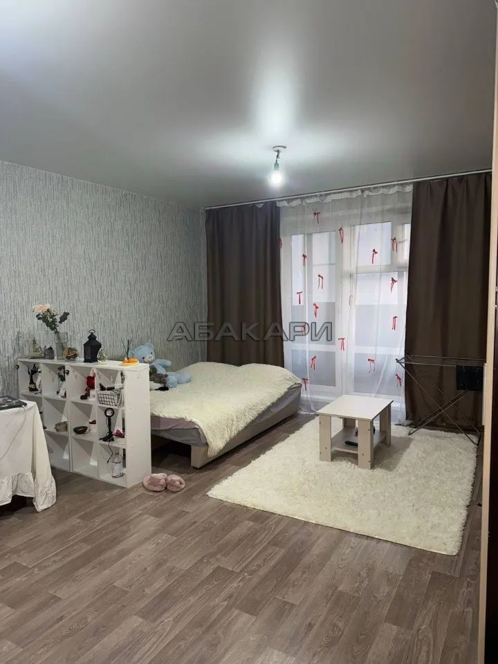 студия Светлогорский переулок, 12А  за 27000 руб/мес фото 1