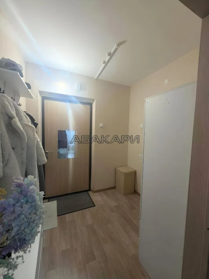 студия Светлогорский переулок, 12А  за 27000 руб/мес фото 5