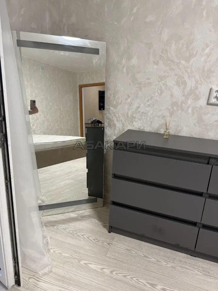 студия Светлогорская улица, 11А  за 30000 руб/мес фото 5