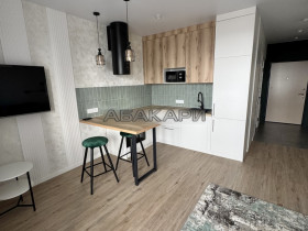 аренда Светлогорский переулок, 14 студия 35000