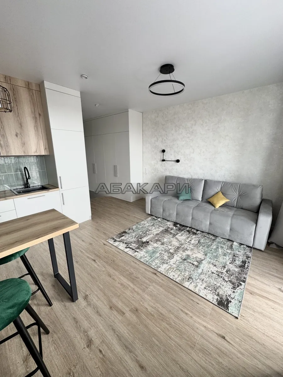 студия Светлогорский переулок, 14  за 35000 руб/мес фото 3