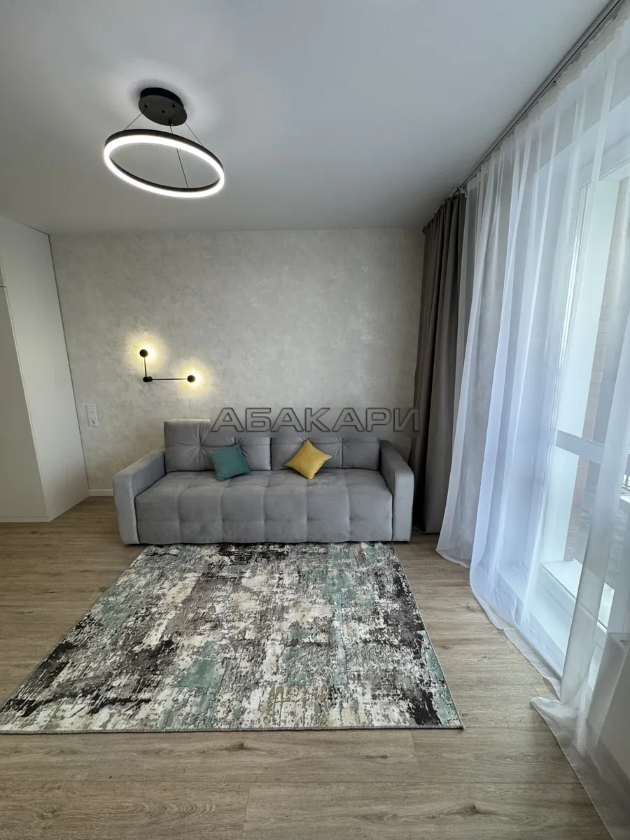 студия Светлогорский переулок, 14  за 35000 руб/мес фото 6
