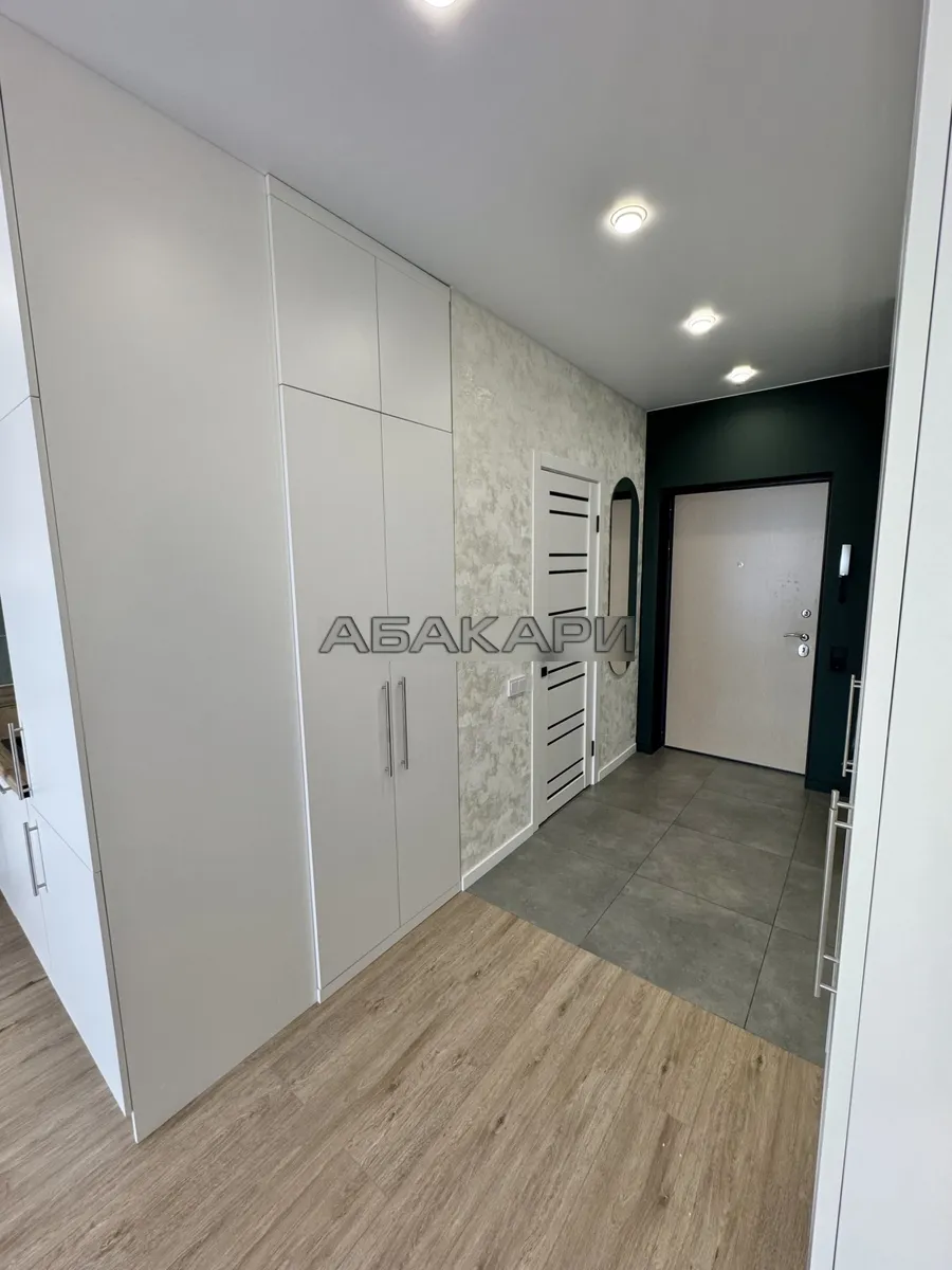 студия Светлогорский переулок, 14  за 35000 руб/мес фото 12