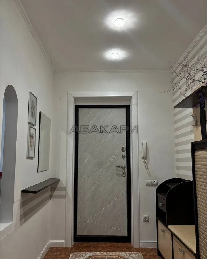 3-комнатная улица Водопьянова, 19  за 55000 руб/мес фото 5