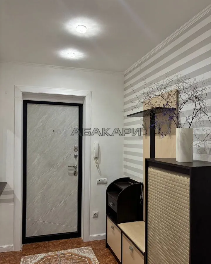 3-комнатная улица Водопьянова, 19  за 55000 руб/мес фото 6