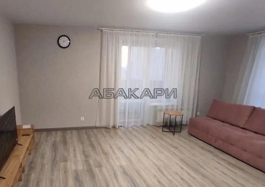 2-комнатная Светлогорский переулок, 12  за 45000 руб/мес фото 11