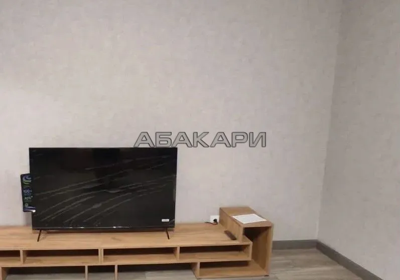 2-комнатная Светлогорский переулок, 12  за 45000 руб/мес фото 15