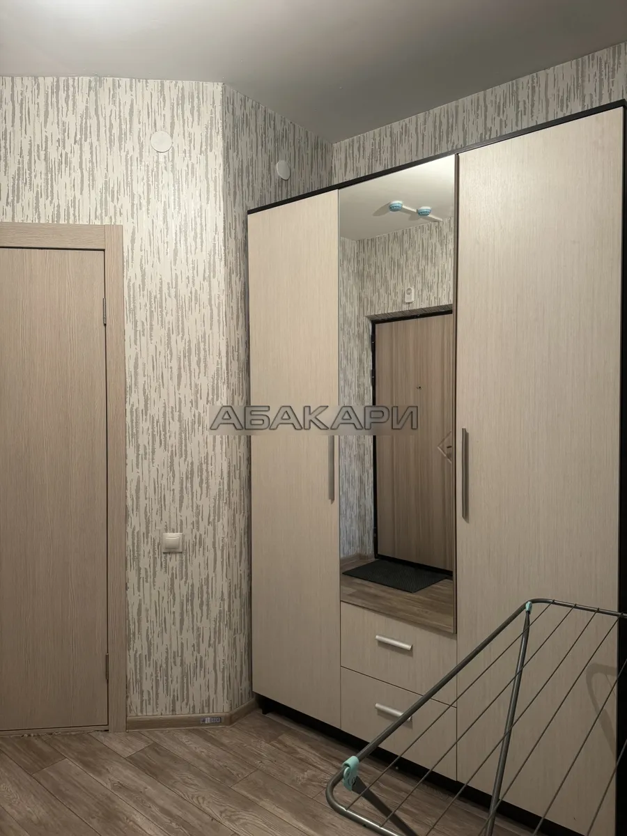 студия Караульная улица, 39А  за 25000 руб/мес фото 5