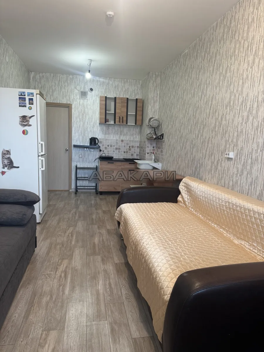 студия Караульная улица, 39А  за 25000 руб/мес фото 2