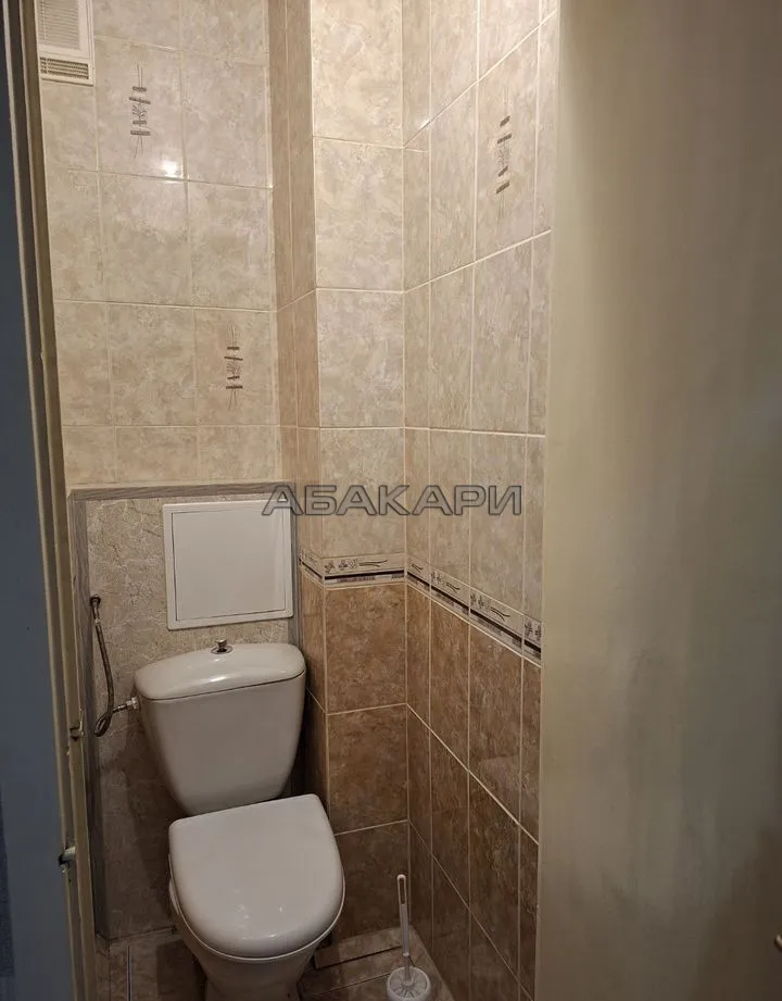 1-комнатная Светлогорский переулок, 15  за 29000 руб/мес фото 14