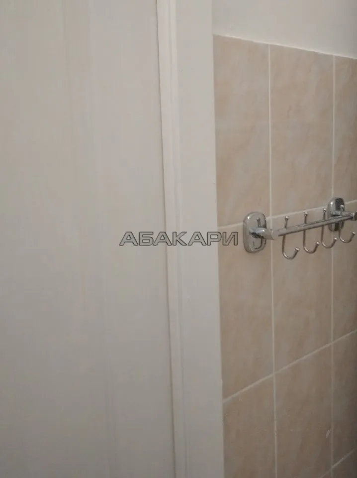 1-комнатная улица Чернышевского, 110  за 25000 руб/мес фото 9