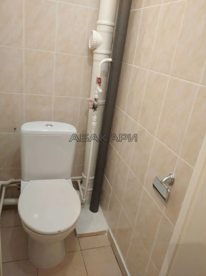 1-комнатная улица Чернышевского, 110  за 25000 руб/мес фото 10