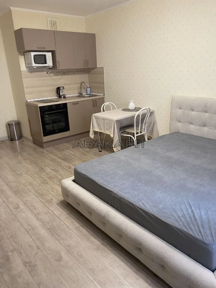 студия Дудинская улица, 2Б  за 32000 руб/мес фото 2