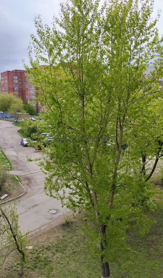 1-комнатная улица 60 лет Октября, 44  за 30000 руб/мес фото 20