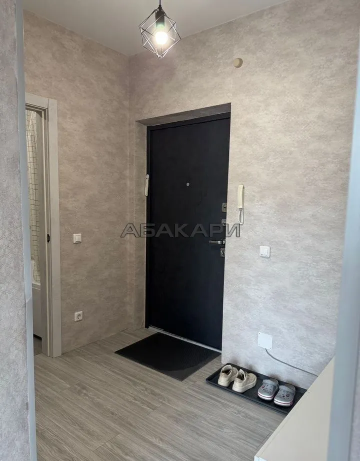 1-комнатная Свердловская улица, 6К  за 30000 руб/мес фото 13
