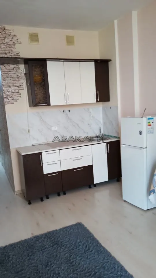 студия улица Мичурина, 2Ж  за 22000 руб/мес фото 2