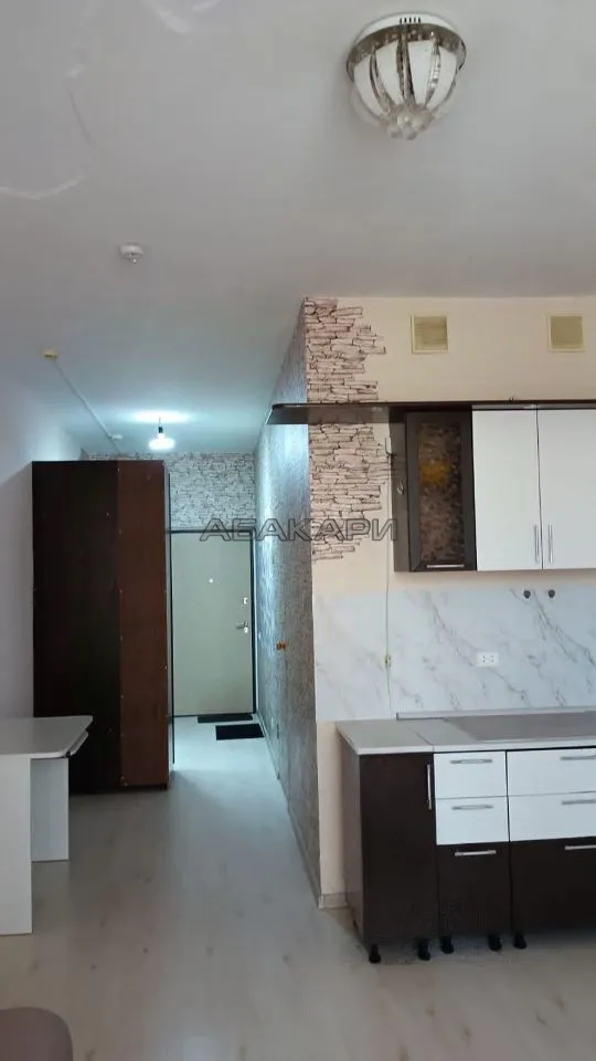 студия улица Мичурина, 2Ж  за 22000 руб/мес фото 3