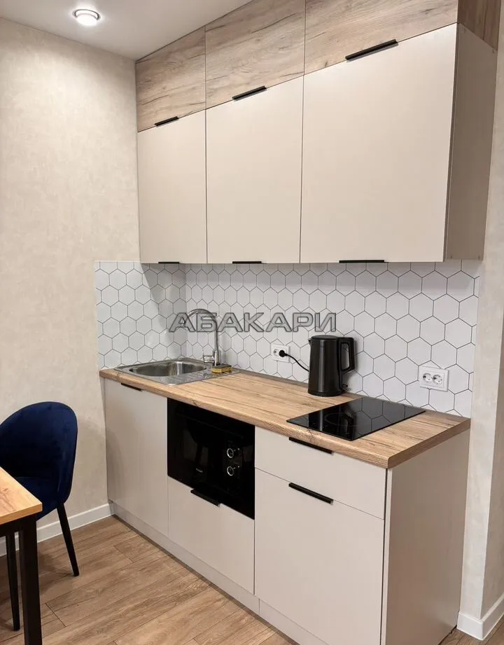 студия Дудинская улица, 2Ж  за 35000 руб/мес фото 4