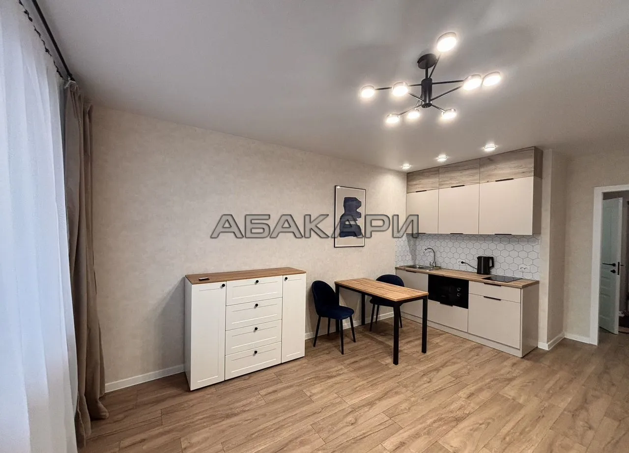 студия Дудинская улица, 2Ж  за 35000 руб/мес фото 5