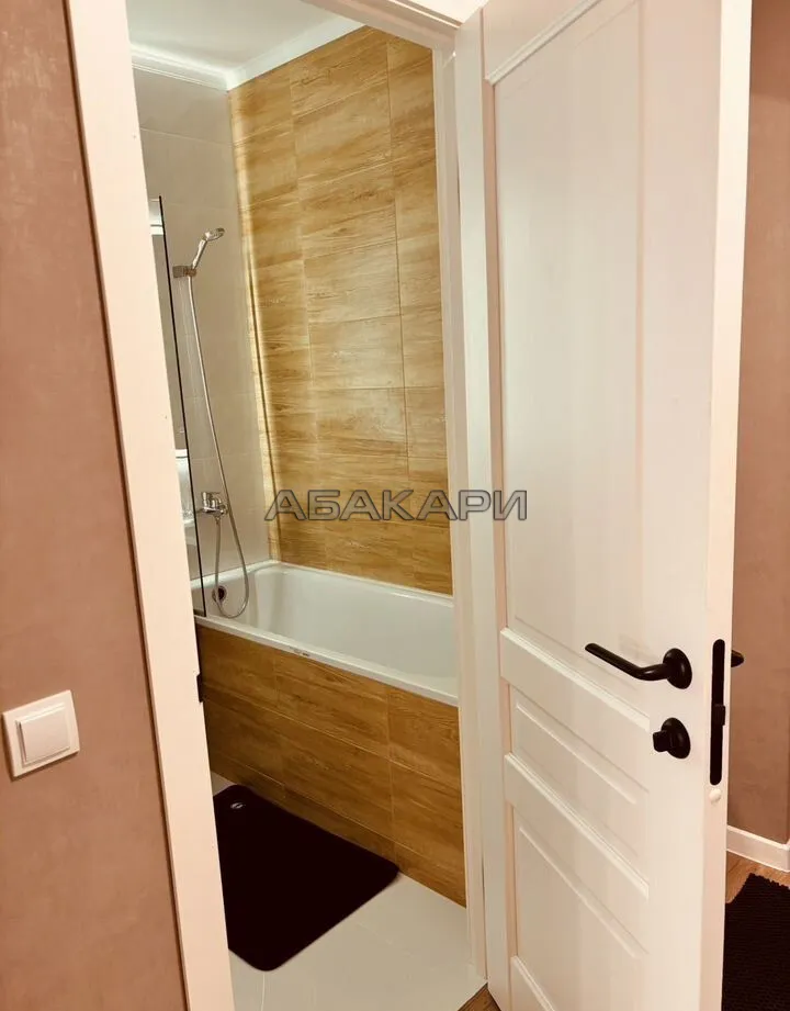 студия Дудинская улица, 2Ж  за 35000 руб/мес фото 8