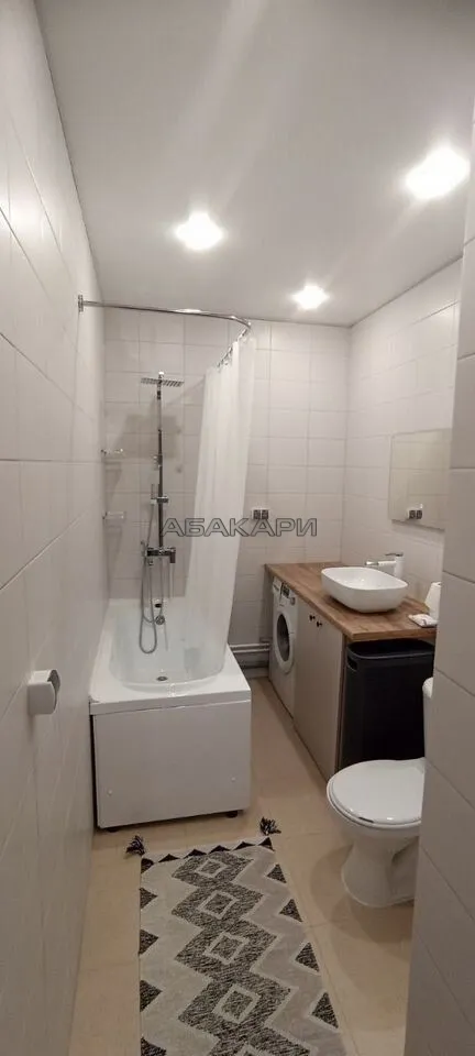 1-комнатная Светлогорский переулок, 14  за 37000 руб/мес фото 9
